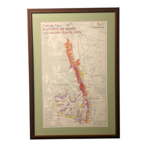 Custom Framed French Burgundy Côte De Nuits Wine Map With Conservation Glass