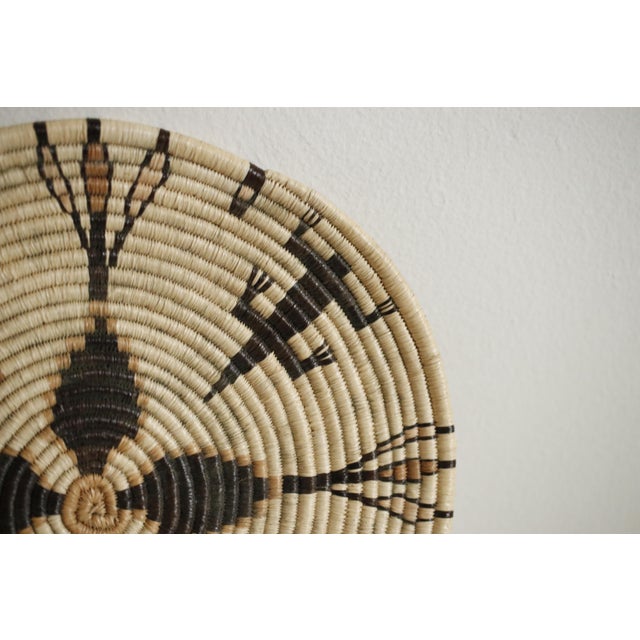 Pictorial coil plaque basket in tones of orange, tan, and black. Handwoven by an unknown weaver. Made from yucca,...