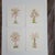These are a twist to the conventional botanical. I enjoy coming up with new styles using color and shapes. they are...