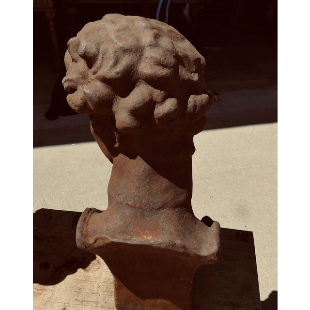 Weathered Cast Iron Bust of Michelangelo's David A lovely piece for the garden, celebrating “David” The Bust is weather...