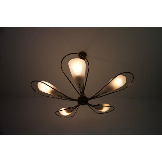 Mid-Century Italian Brass 5-Arm Sputnik Chandelier, 1950s For Sale - Image 17 of 18