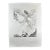 1960s Salvador Dali the Mythology Icarus For Sale
