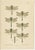 Dragonfly & Damselfly Lithographs by Richard Tümpel, 1908, Set of 3 For Sale - Image 4 of 14