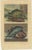 François Valentyn, Fishes and Crustaceans, 1726, Set of 8 For Sale - Image 3 of 10