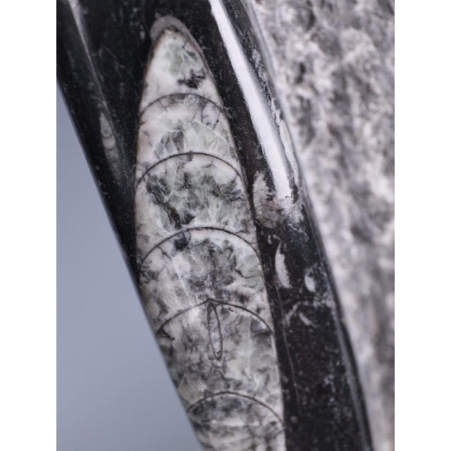 Hand-Carved Orthoceras Fossil Sculptures in Black Limestone, Morocco, Set of 2 For Sale - Image 9 of 15