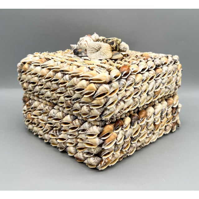 Vintage Coastal Seashell Covered Shell Encrusted Box – Coastal / Tropical For Sale In Houston - Image 6 of 18