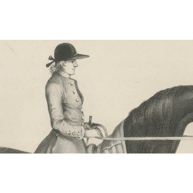 Maxim Gauci, Sedbury Equestrian Horse & Rider Portrait, 1840, Lithograph For Sale - Image 6 of 10