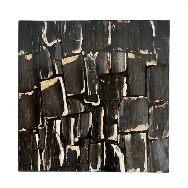 Modern Petrified Square Coffee Table For Sale In Los Angeles - Image 6 of 7