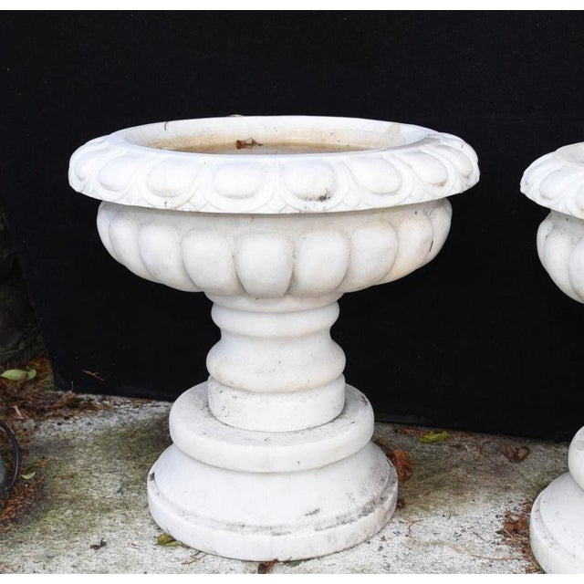 English Stone Garden Planters, Set of 2 For Sale - Image 4 of 8
