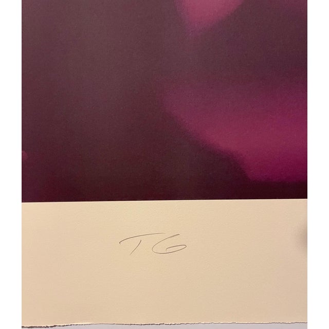 1990s Todd Gray, Color Iris Photo Print Conceptual Cartoon Toy Minnie Mouse Photograph Todd Gray, c.1997 For Sale - Image 5 of 6