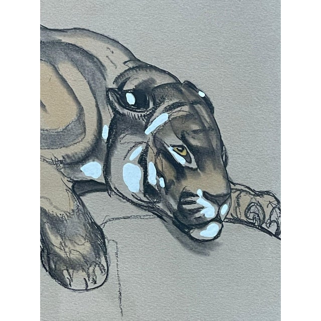 Brown Paul Jouve, Tiger, 1920, Pencil & Paint For Sale - Image 8 of 12
