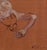 2010s Untitled by Rebecca Venn | Oil on canvas paper Nude figure lying on a brown background. For Sale - Image 5 of 5