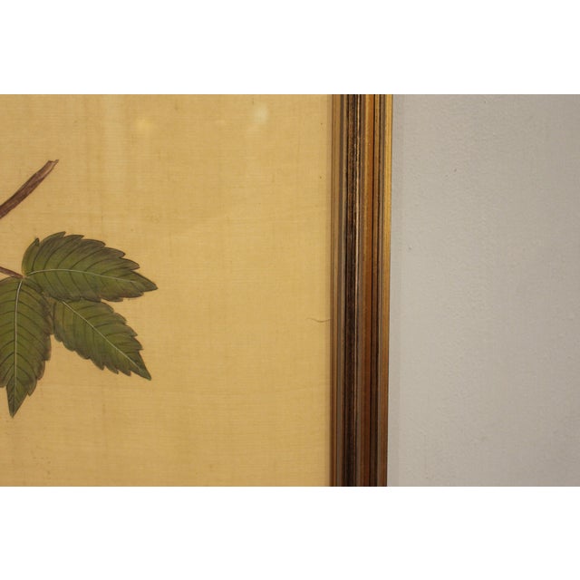 Early 20th Century Early 20th Century Japanese Kacho-Ga Painting on Silk For Sale - Image 5 of 6