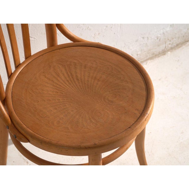 Bentwood Chairs in the style of Thonet, Central Europe, 1930, Set of 4 For Sale - Image 13 of 15