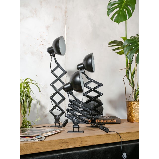 Bauhaus Bauhaus 6718 Scissor Lamp in Satin Black by Christian Dell from Kaiser Idell, 1930s, Set of 3 For Sale - Image 3 of 18