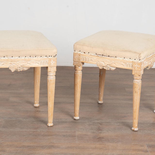 Early 20th Century Pair Early 20th Century Swedish Pine Taboret Stools With Egg and Dart Carving For Sale - Image 5 of 14