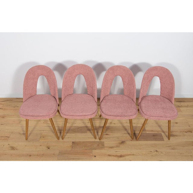 Pink Dining Chairs by Antonín Šuman for Tatra, 1960s, Set of 4 For Sale - Image 8 of 18