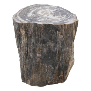 Petrified Wood Side Table by Xyleia Petrified Wood For Sale