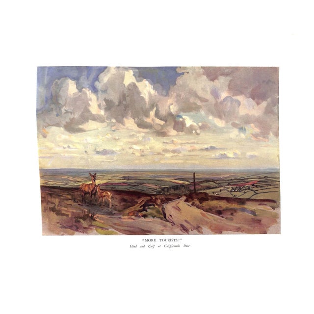 "The Devon and Somerset Staghounds: 1907-1936" Macdermot, e.t. For Sale - Image 13 of 14