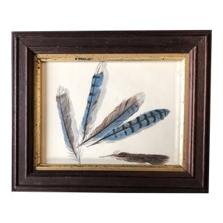 1970’s Original Pastel Drawing “Feather Study “ Antique Frame Signed For Sale