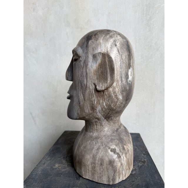 Contemporary Petrified Wood Bust Sculpture — Hand-Carved Abstract Portrait, 30 Cm For Sale - Image 6 of 6