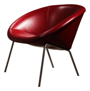 Model 369 Armchair by Walter Knoll, Germany, 1956