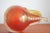 Mid-Century Pear Murano Glass from Barovier & Toso, 1960s For Sale - Image 9 of 13