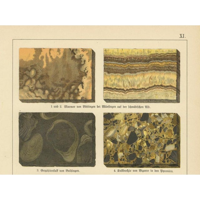 Dr. Gustav Adolph Kenngott, Mineralogy Marble, Aragonite & Fluorite, 1888, Chromolithographs, Set of 3 For Sale - Image 9 of 12