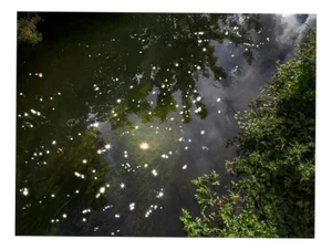 Ellie Davies, Chalk Streams 6, 2023, Print