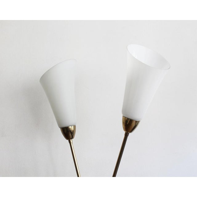 Sculptural Brass and Milk Glass Floor Lamp, Former Czechoslovakia, 1960s For Sale - Image 14 of 15
