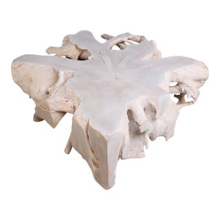 White Teak Root Coffee Table 23 For Sale