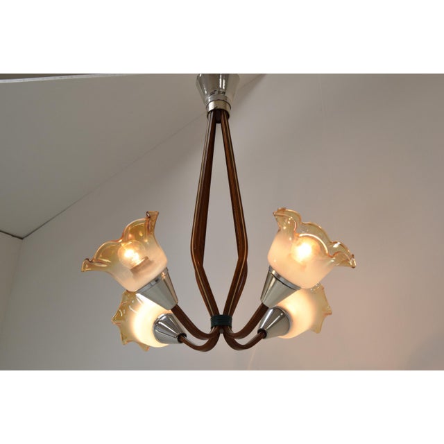 Mid-Century Chandelier, 1960´s For Sale - Image 18 of 18