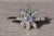 Silver The Bannack: Ladies Signed Diamond Flower Ring in 14K White Gold For Sale - Image 8 of 10