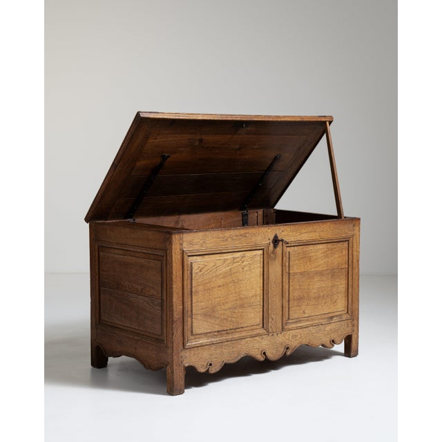 French French Carved Oak Trunk France 19th Century For Sale - Image 3 of 12