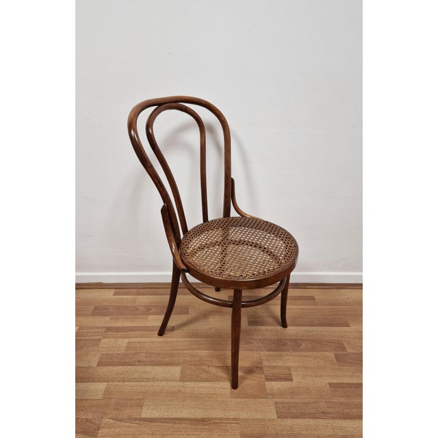 Bent Beechwood Dining Chairs from Salvatore Leone, Late 19th Century, Set of 4 For Sale - Image 5 of 11