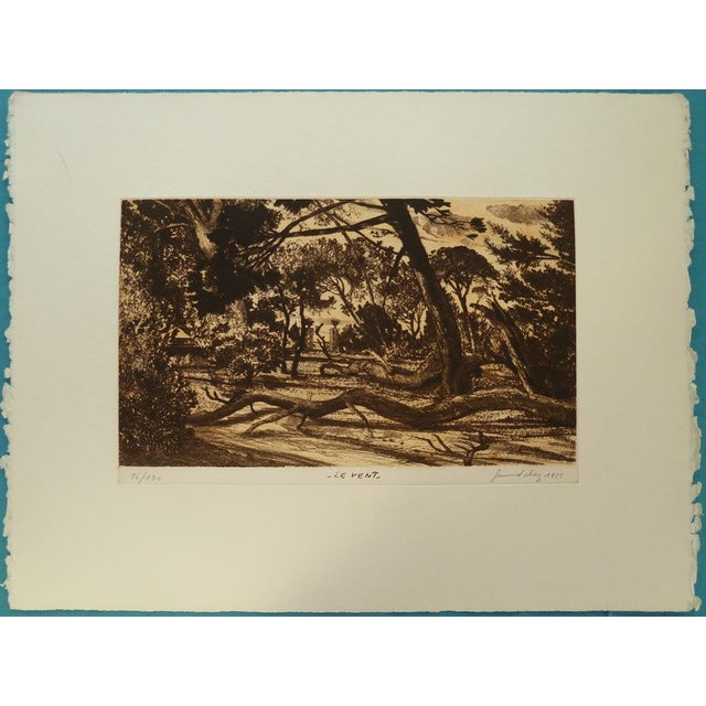 Gerard Diaz, The Wind, Engraving For Sale - Image 8 of 8