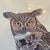 Design Plus Gallery presents an "Artist Proof- Great Horned Owl" Print by artist E. Darrell Smith. This contemporary piece...