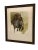 French 1970s Original Hunting Dog With Foul Watercolor Painting by French Artist and Cartoonist Jean Herblet Signed, Framed For Sale - Image 3 of 7