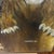 Textile Oil on Canvas by American Artist Joy Hopper Titled “The Conqueror”made in 1981 in Style of Frank Frazetta Framed Signed For Sale - Image 7 of 10