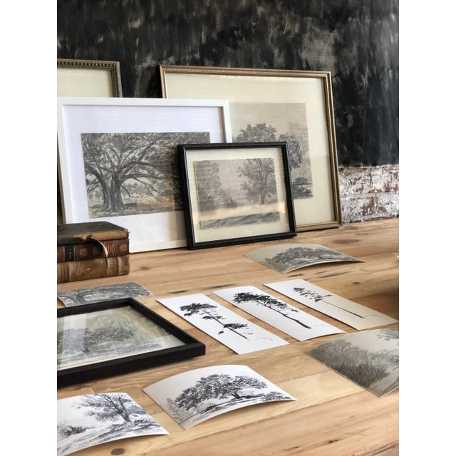 "Print Collection: Tree Study" Contemporary Original Black and White Landscape Print on Paper For Sale - Image 4 of 7