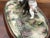 Porcelain Group of Nude Putti & the Goat Amalthea on Wooden Display Stand For Sale - Image 4 of 16