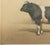 19th Century Borie, Breton Bull, French Cattle Breed, 1863, Chromolithograph For Sale - Image 5 of 9