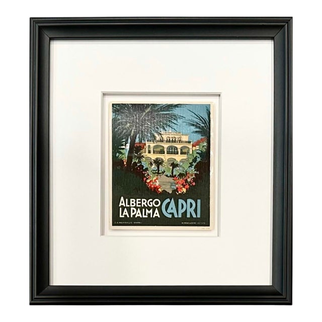 Vintage Albergo La Palma Capri Framed Luggage Label For Sale