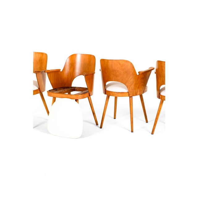 Dining Chairs by Oswald Haerdtl for Ligna, Set of 4 For Sale - Image 3 of 15