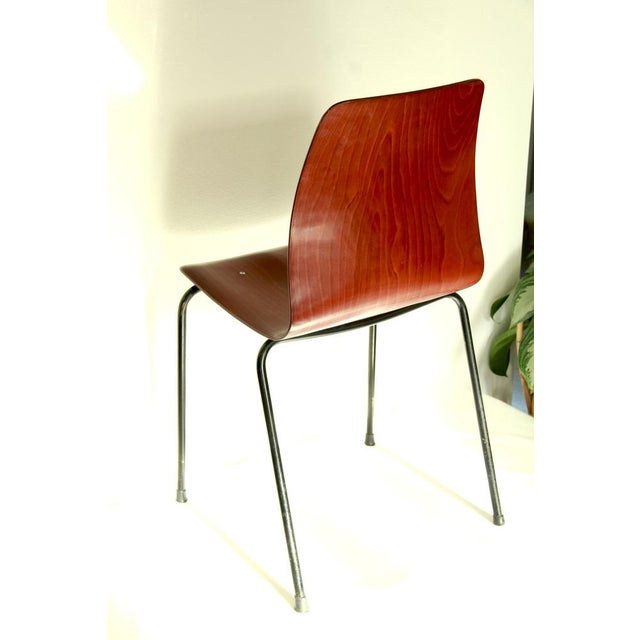 Mid-Century Chair from Pagholz Flötotto, 1950s For Sale - Image 9 of 14