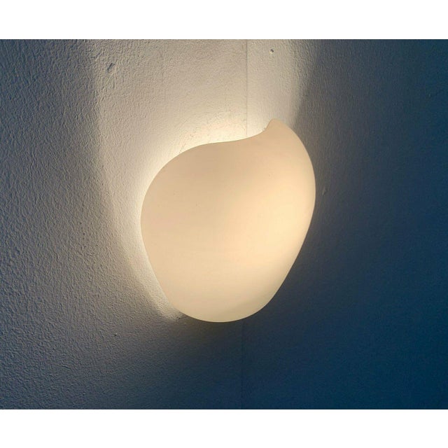 Wilhelm Wagenfeld Mid-Century Modern German Muschel Glass Wall Lamps by Wilhelm Wagenfeld for Peill & Putzler, Set of 3 For Sale - Image 4 of 18