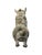 Vintage Torito De Pucará Peruvian Bull Sculpture Ceramic Folk Art Andes Decor For Sale - Image 9 of 18