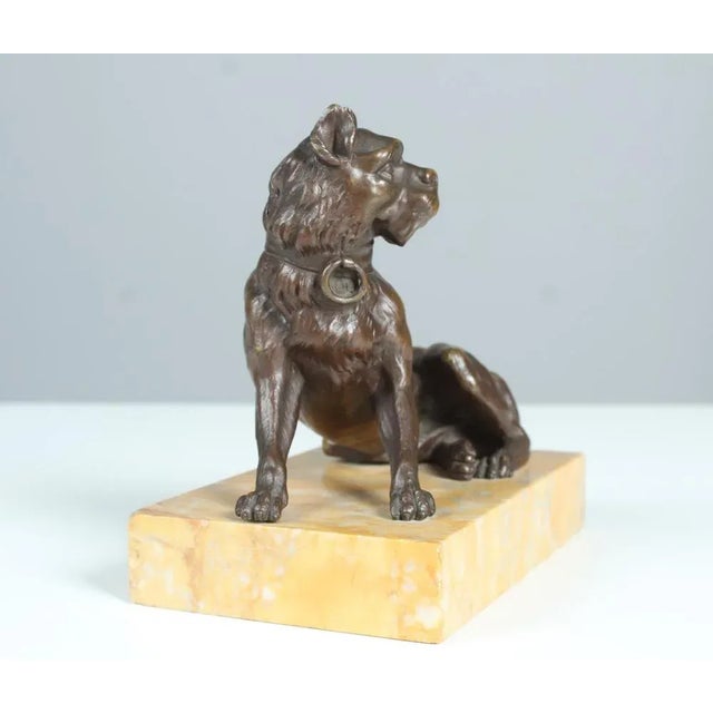 Antique Bronze Bulldog, Late 19th Century For Sale - Image 6 of 8