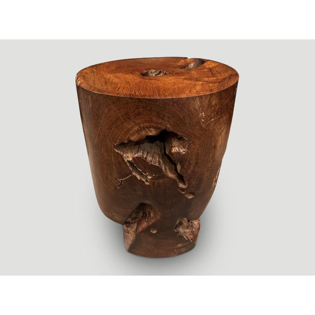 Andrianna Shamaris Sculptural Teak Wood Tray Side Table For Sale - Image 10 of 18