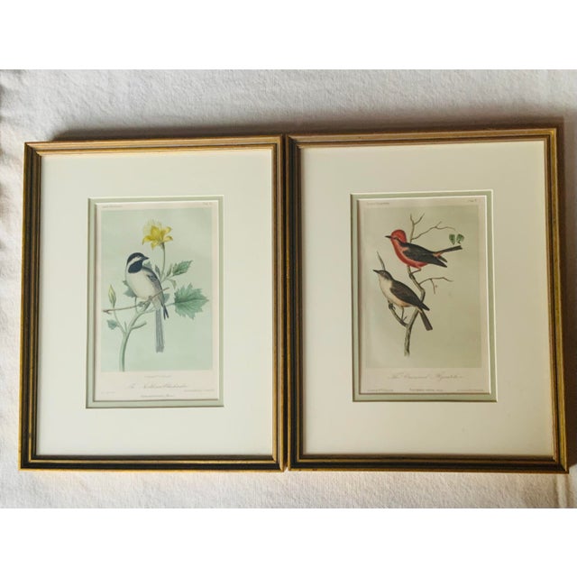 …. A striking piece of American natural history art, this hand-colored lithograph depicts The Crowned Flycatcher...